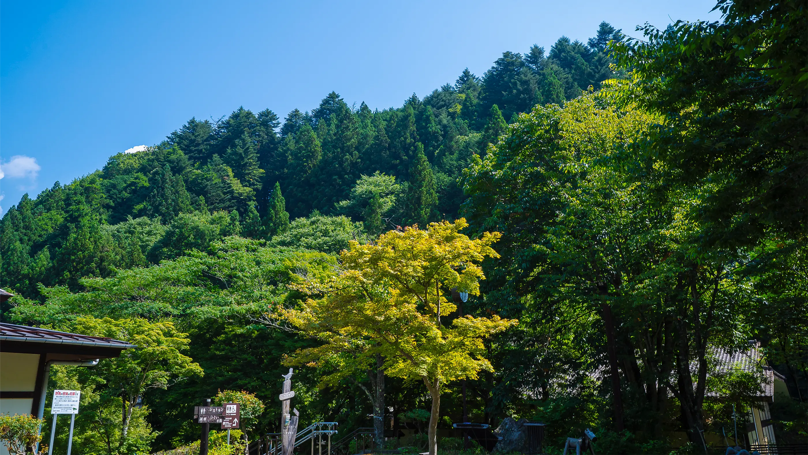 山のふるさと村イメージ画像05
