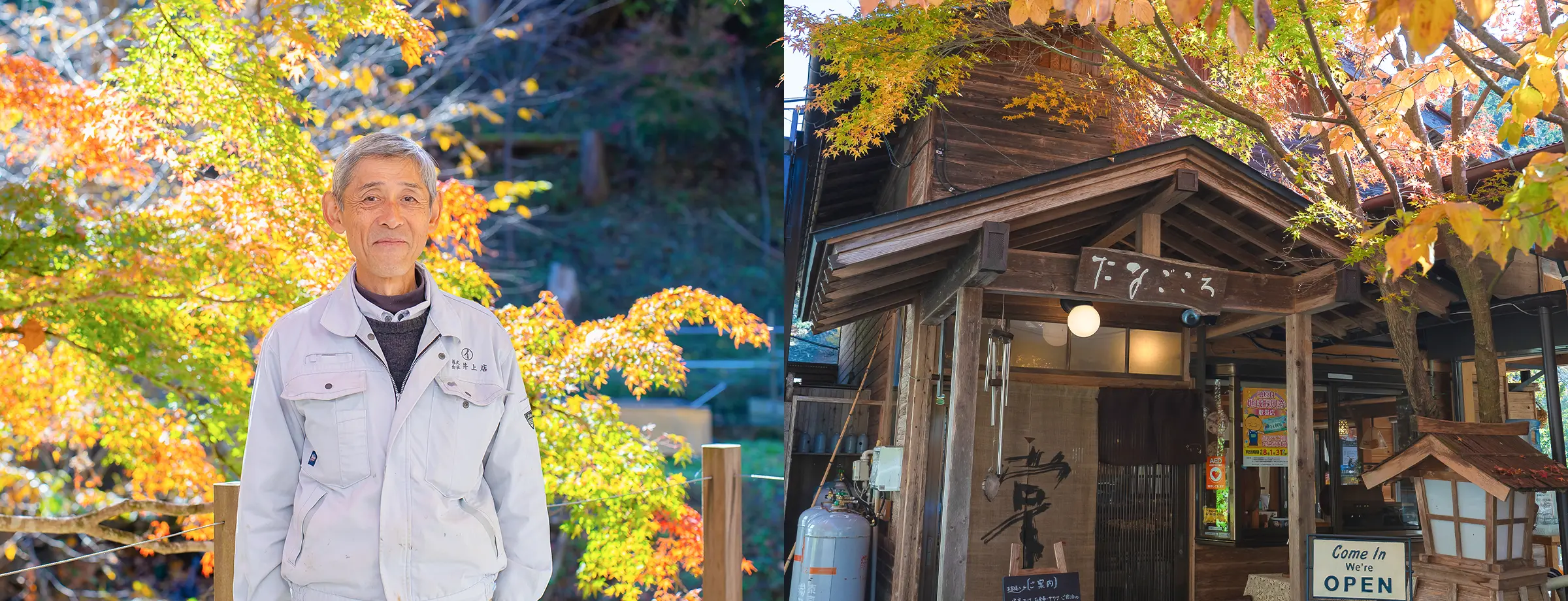 メインビジュアル画像