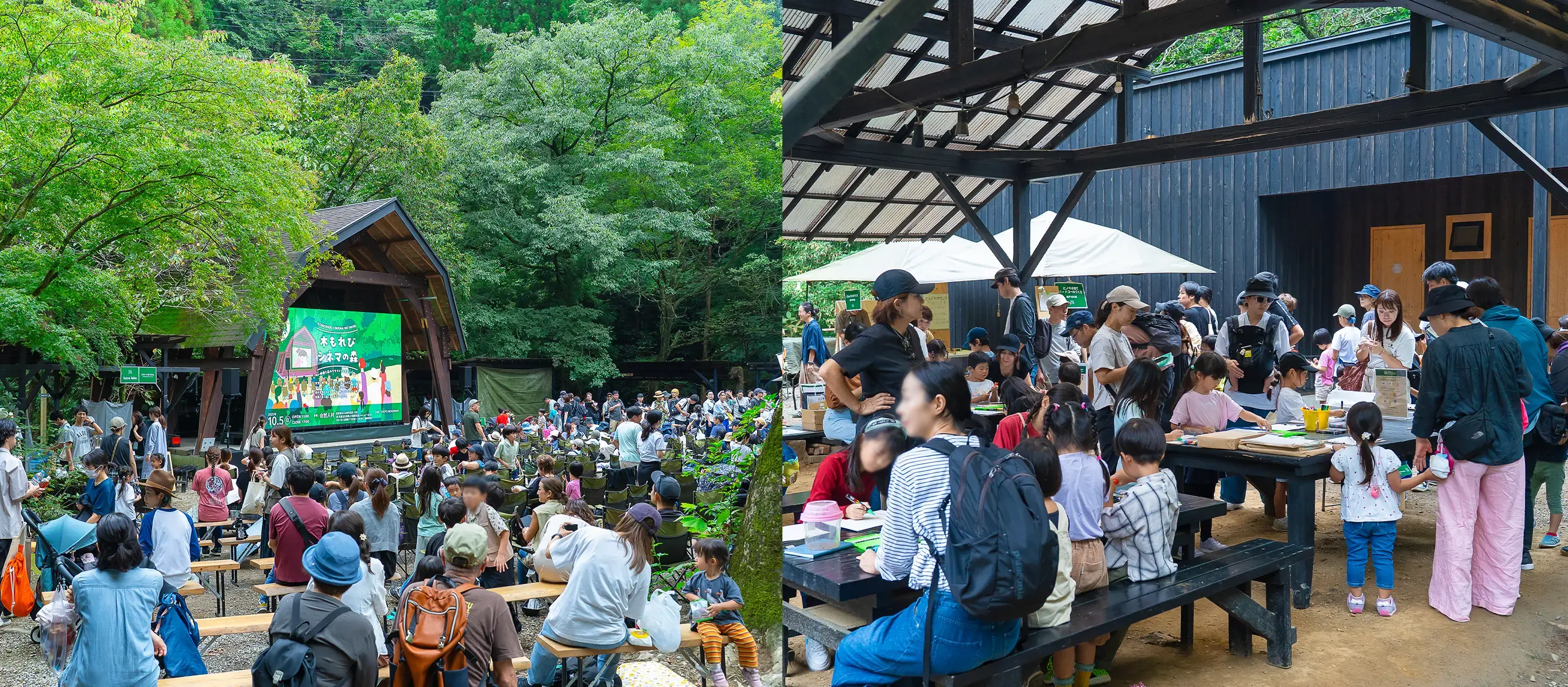 とうきょうの木を見に行く森林ツアー