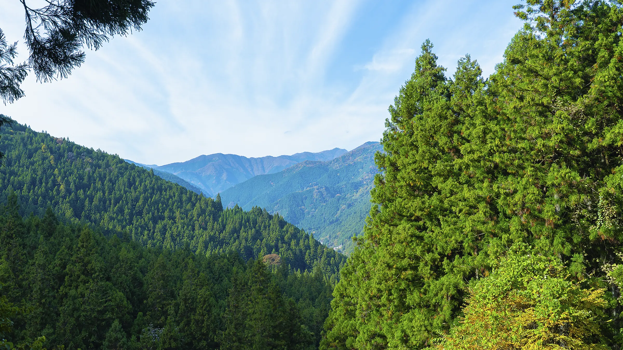 つくって奏でる森の音楽会〜五感で楽しむ東京森林ツアーイメージ画像16