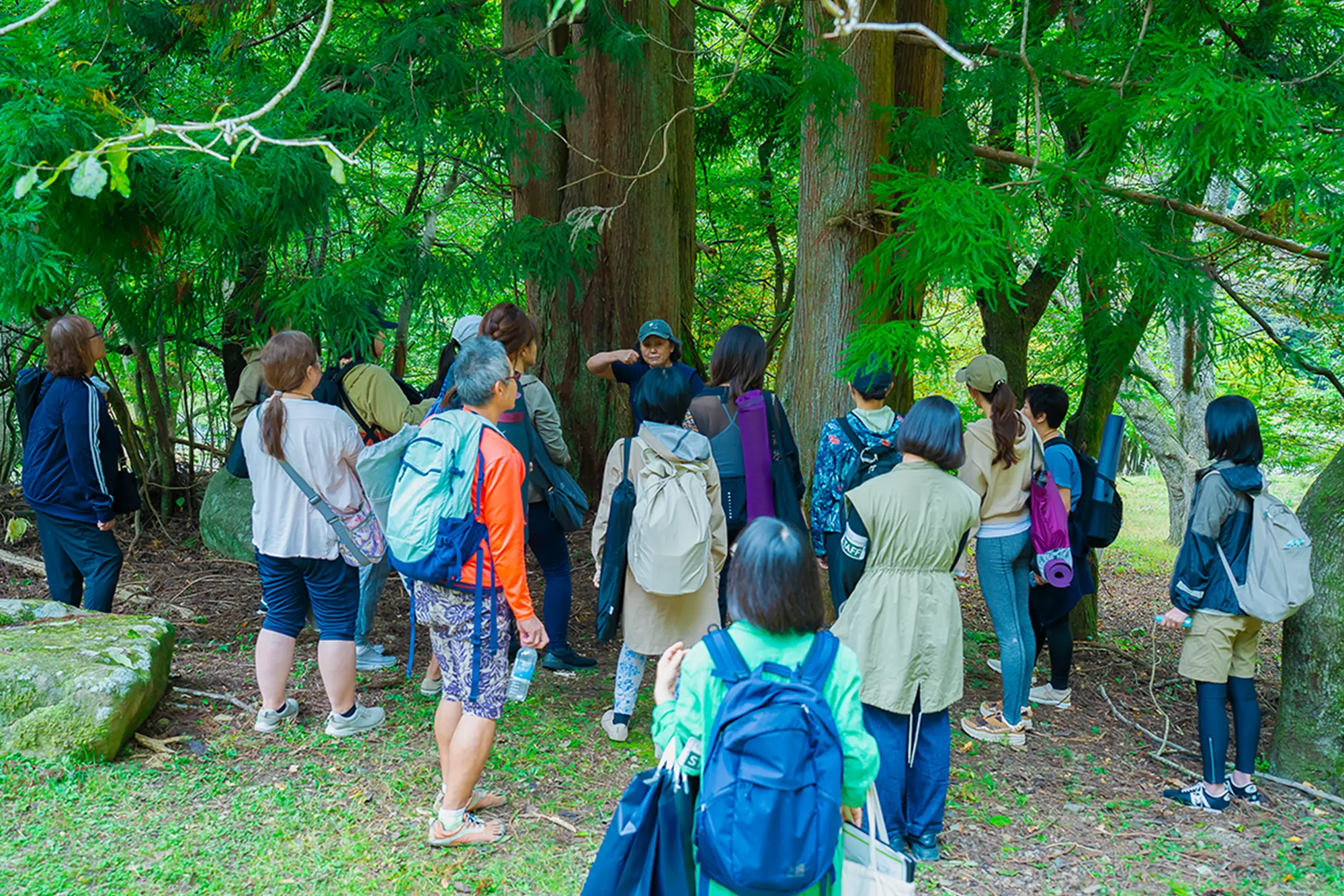 森林ヨガのイベントのイメージ写真11