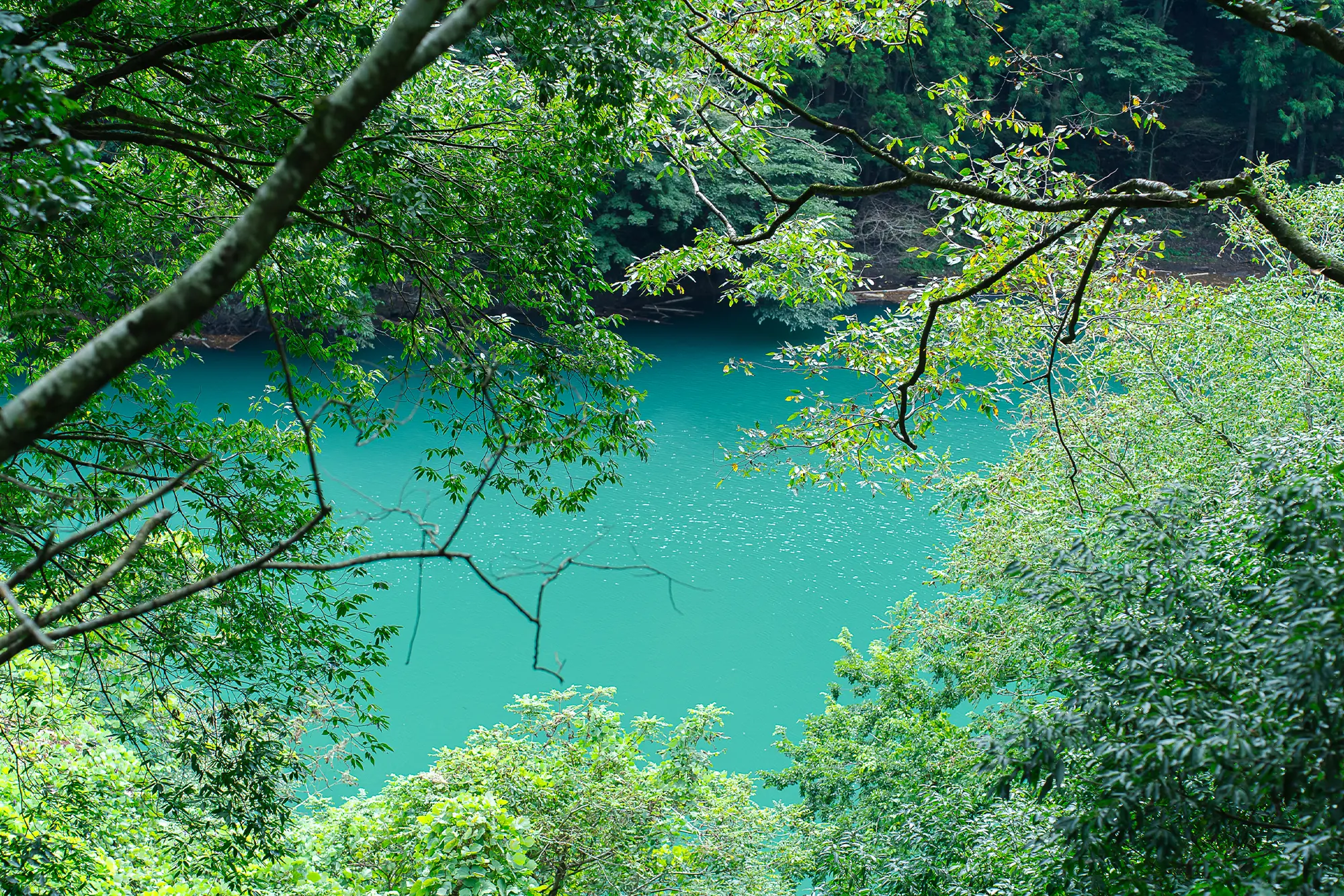 Raychellさん画像02