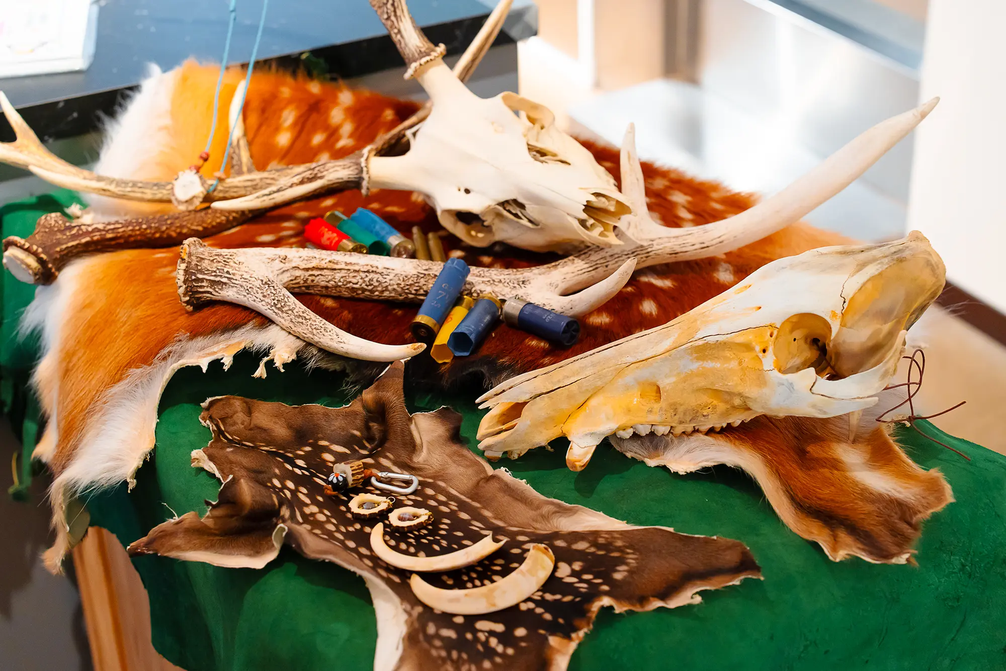 「東京の森のお話とシカ肉ジビエを味わう」 食体験イベントを開催！画像04