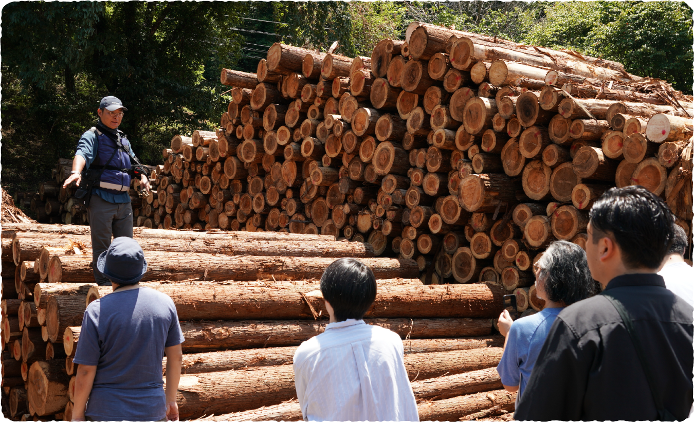 とうきょうの木を販売する原木市場を体験写真1