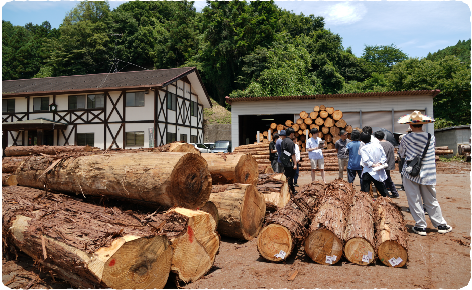 とうきょうの木を販売する原木市場を体験写真2