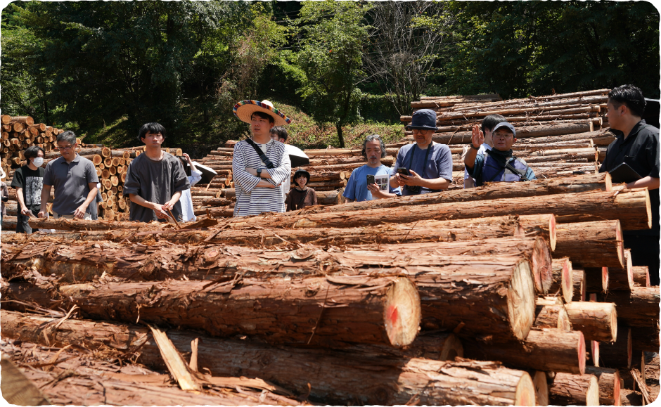とうきょうの木を販売する原木市場を体験写真4