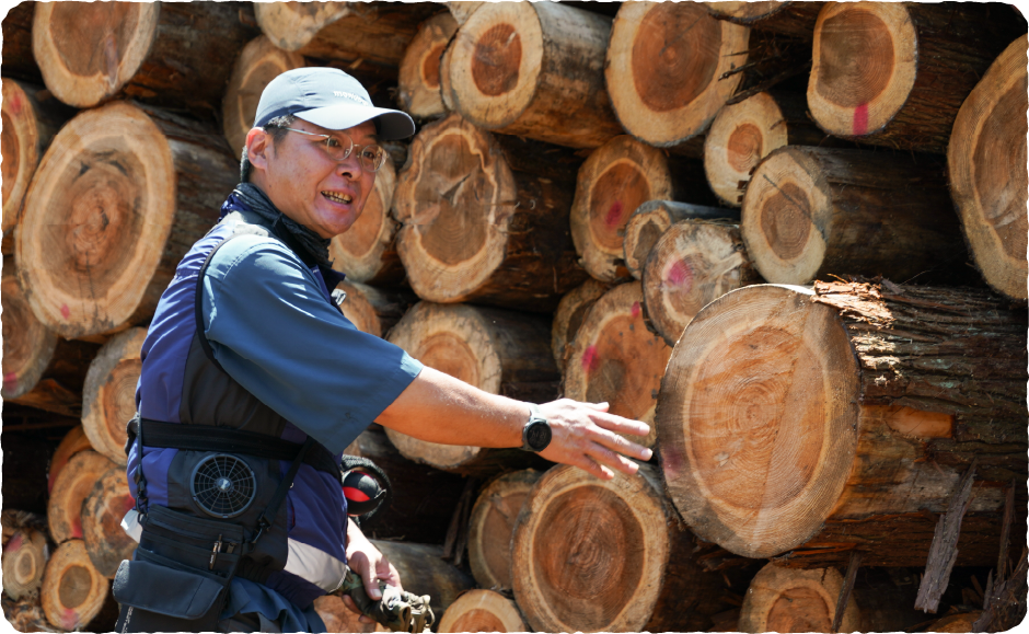 とうきょうの木を販売する原木市場を体験写真7