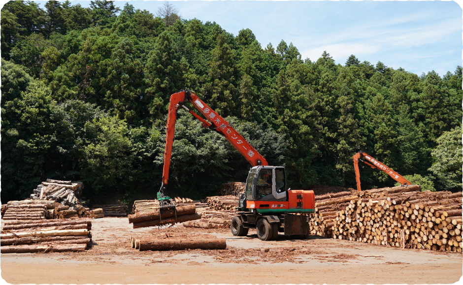 とうきょうの木を販売する原木市場を体験写真8