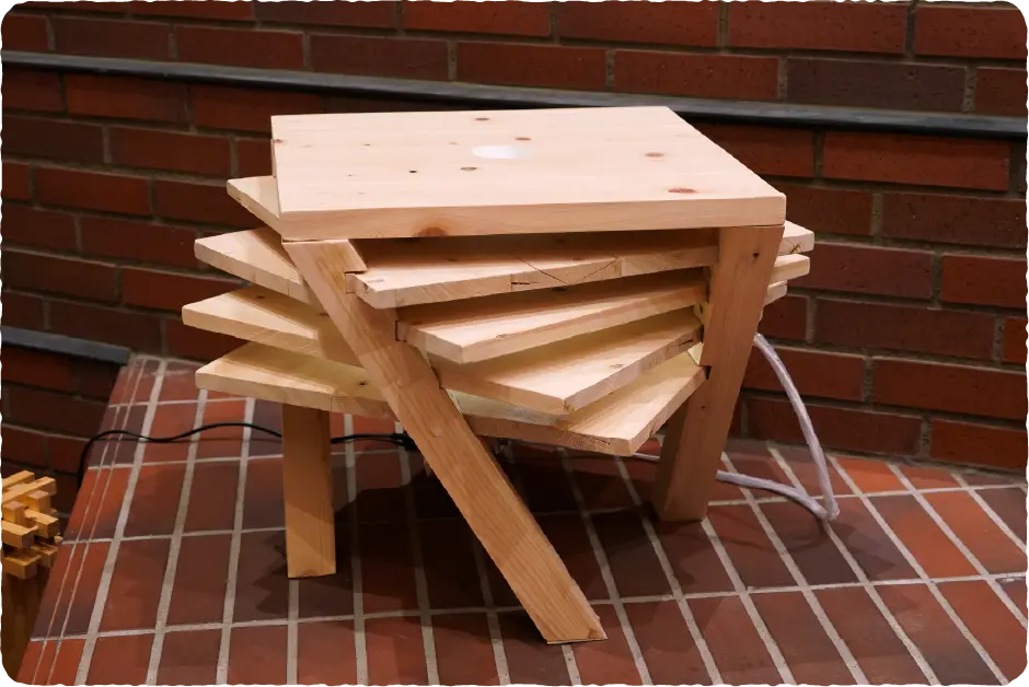 「木漏れ日」田上 蒼志郎 イメージ写真